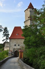 Castle Zvikov