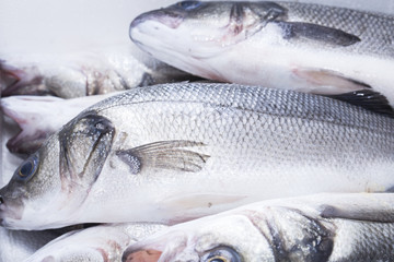 Рыба морская