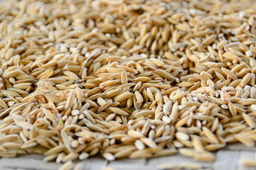 Fototapeta premium Rice seeds