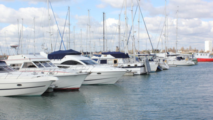 Luxury boats moored at a marina