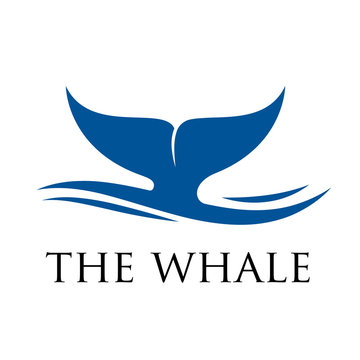 Vector logo whale