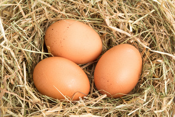 Three eggs
