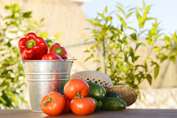 Помидоры и огурцы