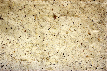 old paper, texture with natural patterns