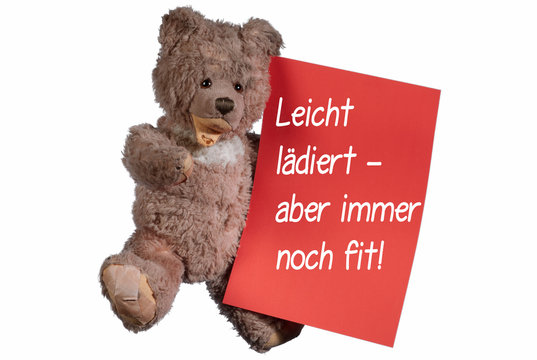 B&auml;r - immer noch fit