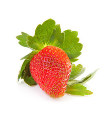 Big fresh strawberry