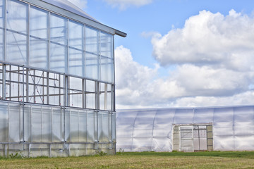 Two Commercial Greenhouses