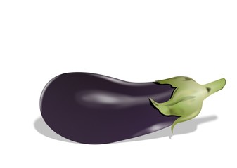 Aubergine