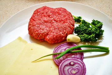 Hamburger with Raw Fresh Toppers