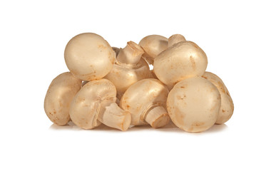 frische Zuchtchampignons