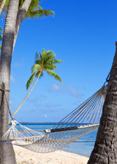 Hammock between palm trees and the sea