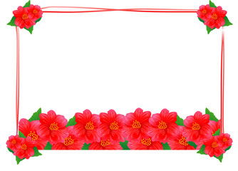 ハイビスカス　花　フレーム　南国