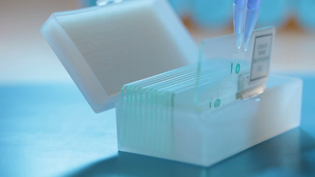 Work in the microbiology laboratory