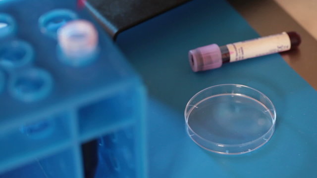 Work in the microbiology laboratory