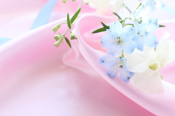 elegant blue delphinium on pink silk for background image
