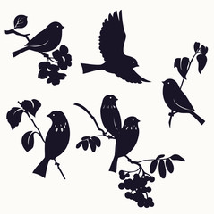Birds and twigs