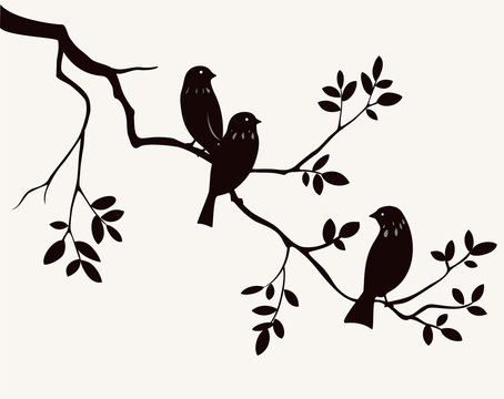 Birds on twig