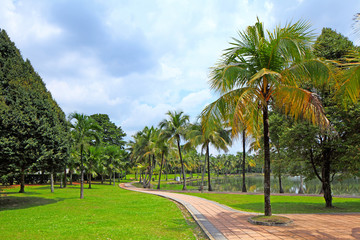 path in park