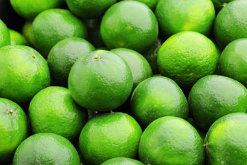 lime citrus fruit
