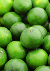 lime citrus fruit