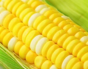 corn