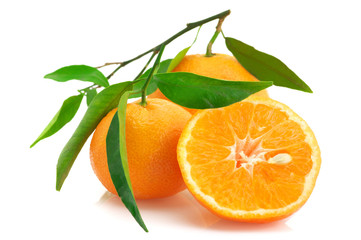 Fresh tangerines