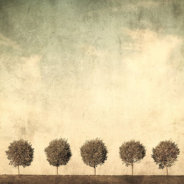 Fototapeta grunge obraz drzew