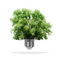 Arbre poussant dans une ampoule - concept écologiquea