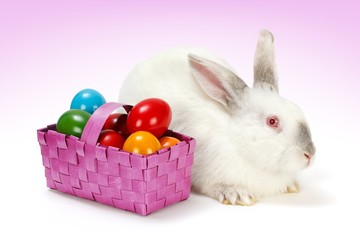 White rabbit with Easter eggs in basket