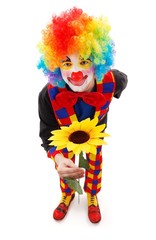 Clown with big yellow flower