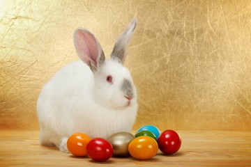 Bunny with Easter eggs