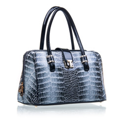 Luxury female handbag over white