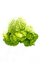 green fresh lettuce