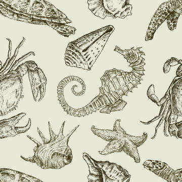 sea creatures pattern