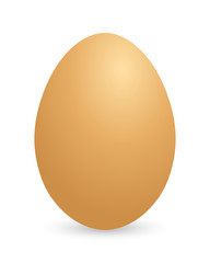 Big brown vector egg on white background