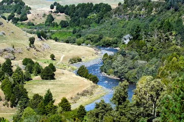 Fotobehang Taumarunui river © Rafael Ben-Ari