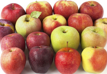 Full-frame shot of assorted fresh-picked apples
