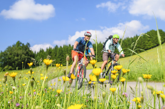Fr&uuml;hjahrstour mit dem MTB