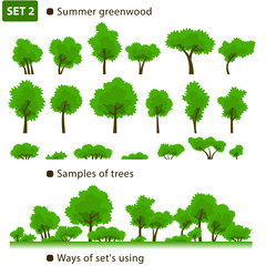 Summer greenwood. Set 2.