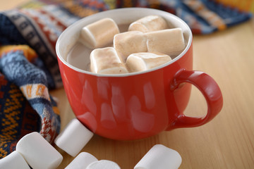 Hot chocolate with marshmallows