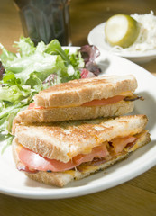 grilled cheese sandwich bacon tomato vinaigrette salad and cole
