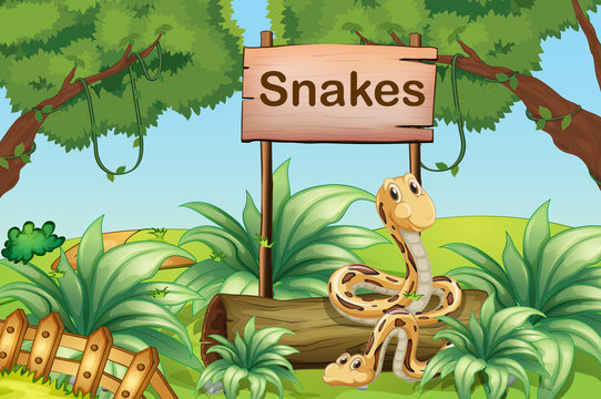Snakes in the hills beside a wooden signboard