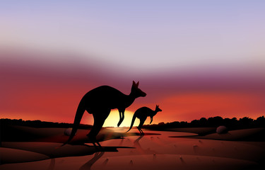 A big and a small kangaroo in the desert - obrazy, fototapety, plakaty