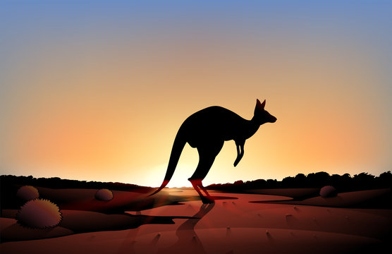 A sunset with a kangaroo