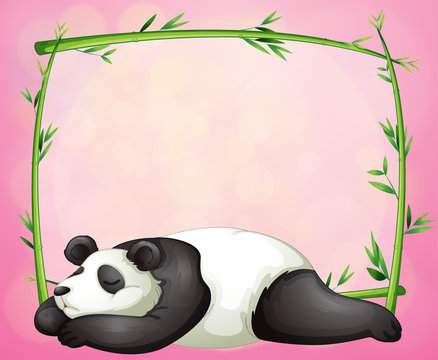 A green frame with a panda sleeping