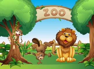 Obraz na płótnie Canvas Zwierzęta w zoo