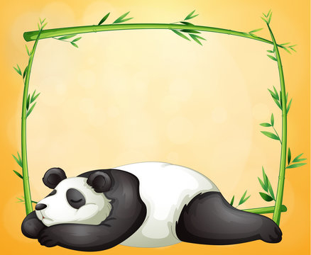 An empty frame and the sleeping panda