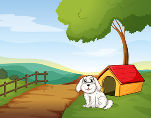 A white dog sitting in front of a dog house