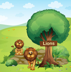 Obraz na płótnie Canvas Szyld pisał w drzewo i dwa lwy
