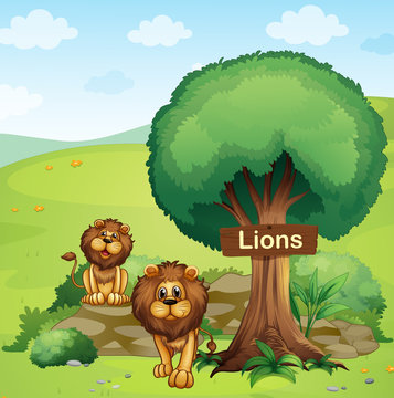 A signboard posted in a tree and the two lions